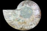 Agatized Ammonite Fossil (Half) - Madagascar #83785-1